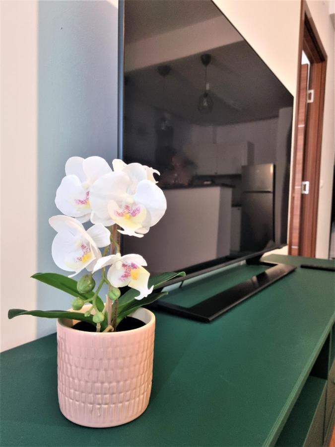 Summer Onix Mamaia Nord Apartament Năvodari Exteriér fotografie